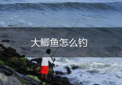 大鲫鱼怎么钓