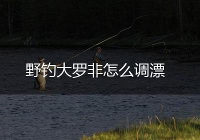野钓大罗非怎么调漂