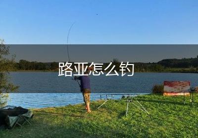路亚怎么钓