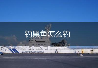 钓黑鱼怎么钓