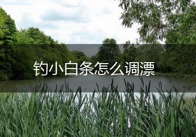 钓小白条怎么调漂