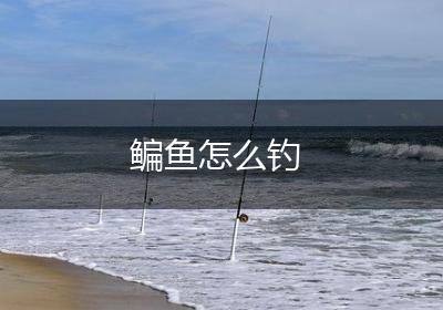 鳊鱼怎么钓