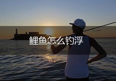 鲤鱼怎么钓浮