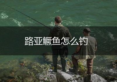 路亚鳜鱼怎么钓