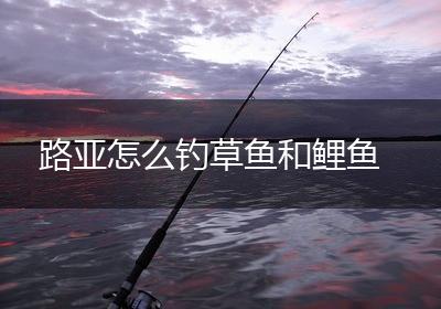路亚怎么钓草鱼和鲤鱼