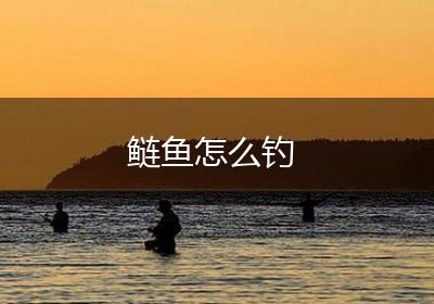 鲢鱼怎么钓