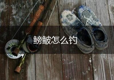 鳑鲏怎么钓