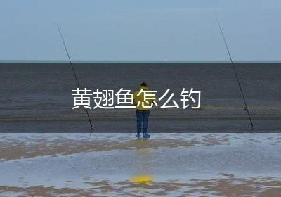黄翅鱼怎么钓