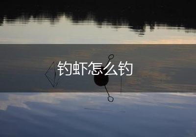 钓虾怎么钓