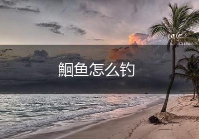 鮰鱼怎么钓
