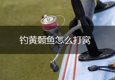钓黄颡鱼怎么打窝