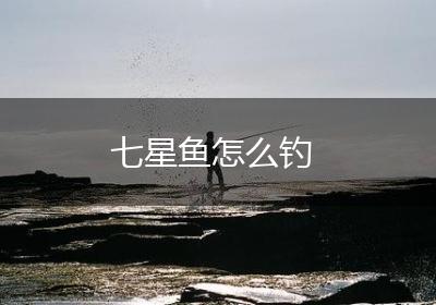 七星鱼怎么钓