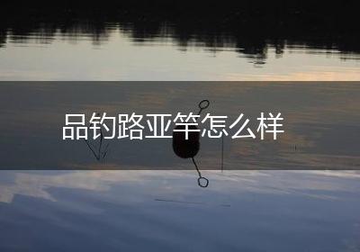 品钓路亚竿怎么样
