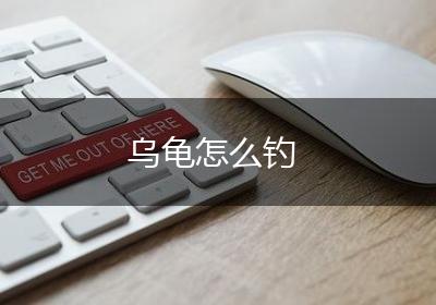 乌龟怎么钓