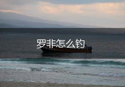 罗非怎么钓