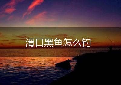 滑口黑鱼怎么钓