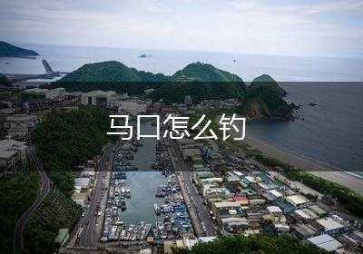 马口怎么钓