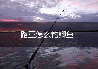 路亚怎么钓鲫鱼
