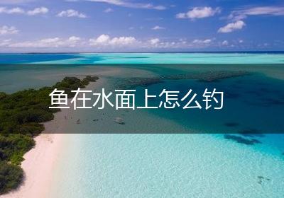 鱼在水面上怎么钓