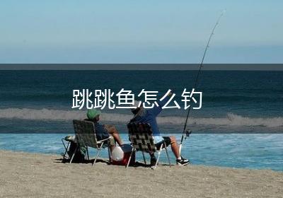 跳跳鱼怎么钓