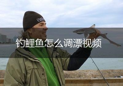 钓鲤鱼怎么调漂视频