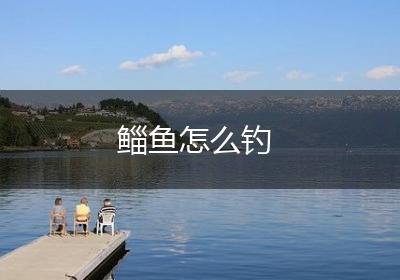鲻鱼怎么钓
