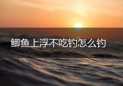 鲫鱼上浮不吃钓怎么钓