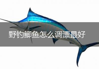 野钓鲫鱼怎么调漂最好