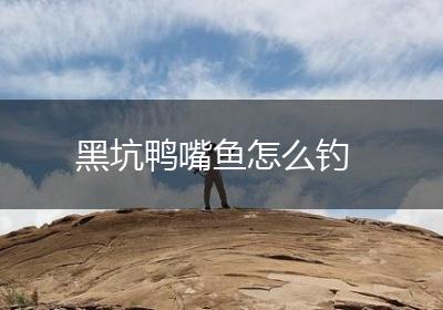 黑坑鸭嘴鱼怎么钓