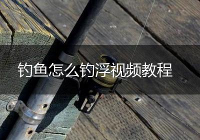 钓鱼怎么钓浮视频教程