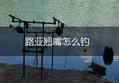 路亚翘嘴怎么钓