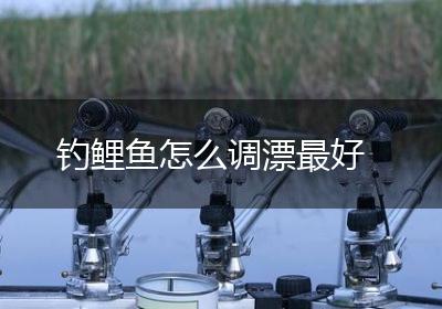 钓鲤鱼怎么调漂最好