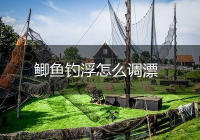 鲫鱼钓浮怎么调漂