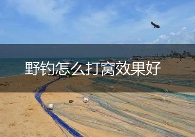 野钓怎么打窝效果好