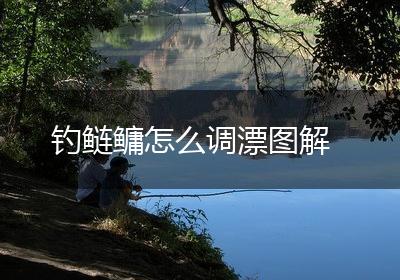 钓鲢鳙怎么调漂图解