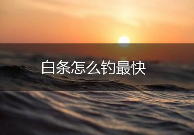 白条怎么钓最快