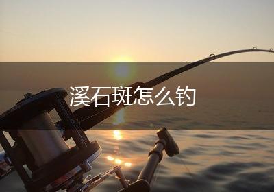 溪石斑怎么钓