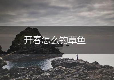 开春怎么钓草鱼