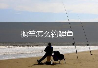抛竿怎么钓鲤鱼