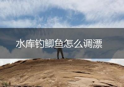 水库钓鲫鱼怎么调漂