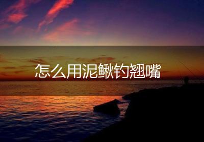 怎么用泥鳅钓翘嘴