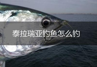 泰拉瑞亚钓鱼怎么钓