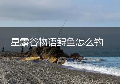 星露谷物语鲟鱼怎么钓