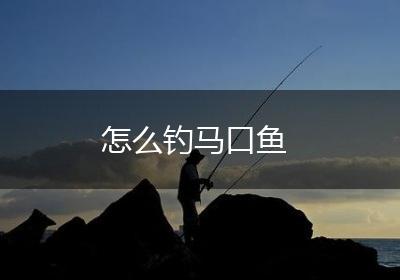 怎么钓马口鱼