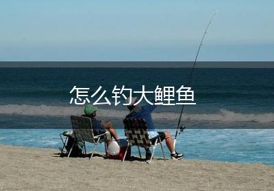 怎么钓大鲤鱼