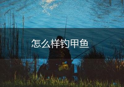 怎么样钓甲鱼