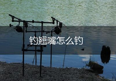 钓翘嘴怎么钓