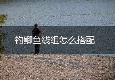 钓鲫鱼线组怎么搭配