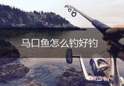 马口鱼怎么钓好钓