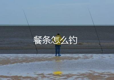 餐条怎么钓